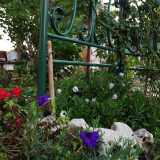 Mentre le rampicanti si insinuano tra i ghirigori di un�ex spalliera di un letto, ora diventata il loro sostegno